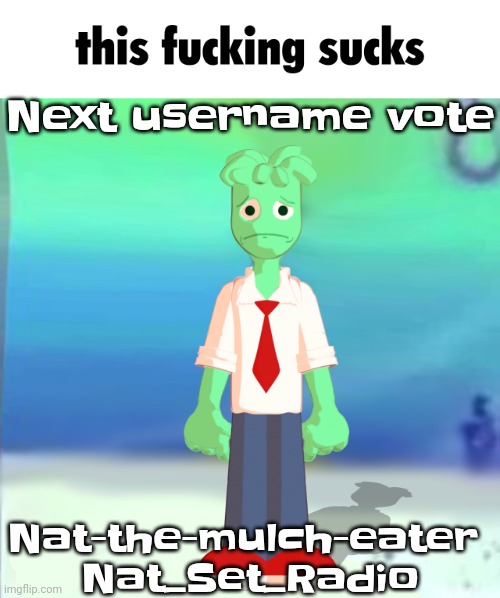 Me personally I'm on team mulch eater | Next username vote; Nat-the-mulch-eater 
Nat_Set_Radio | image tagged in sprite main | made w/ Imgflip meme maker