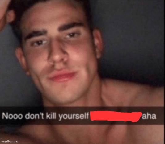 no don't kill yourself | image tagged in no don't kill yourself | made w/ Imgflip meme maker