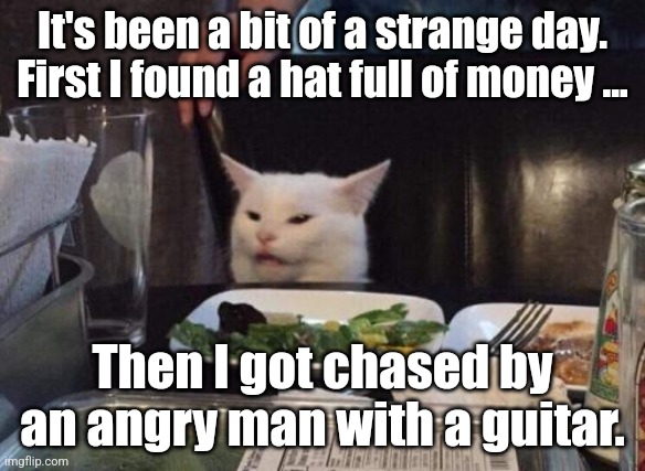 Smudge Finds Money | It's been a bit of a strange day. First I found a hat full of money ... Then I got chased by an angry man with a guitar. | image tagged in salad cat,smudge,smudge the cat,lol,funny | made w/ Imgflip meme maker