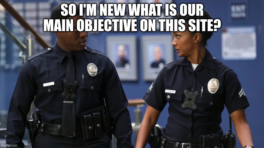 so | SO I'M NEW WHAT IS OUR MAIN OBJECTIVE ON THIS SITE? | image tagged in so | made w/ Imgflip meme maker