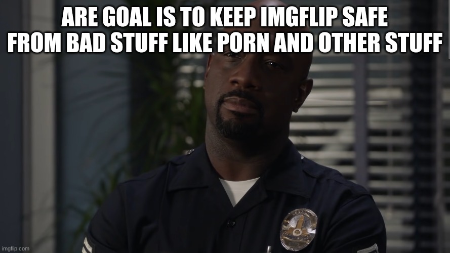 ARE GOAL IS TO KEEP IMGFLIP SAFE FROM BAD STUFF LIKE PORN AND OTHER STUFF | image tagged in sargent gray | made w/ Imgflip meme maker