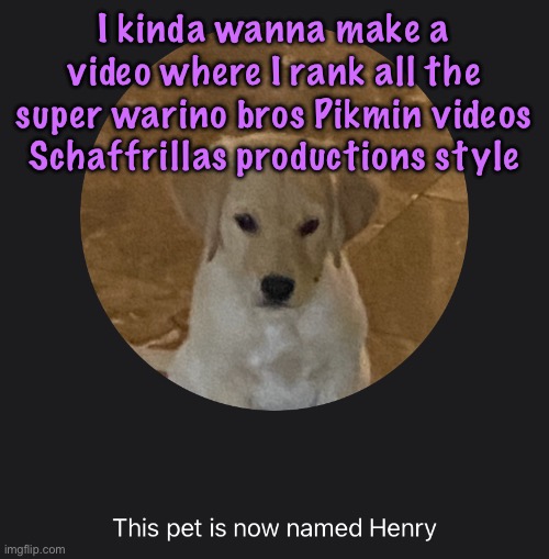 say hi to Henry | I kinda wanna make a video where I rank all the super warino bros Pikmin videos Schaffrillas productions style | image tagged in say hi to henry,cinnabox announcement | made w/ Imgflip meme maker