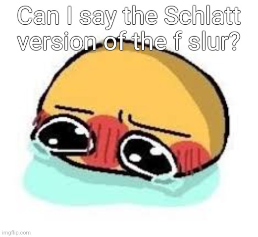 amb shamb bbbmba | Can I say the Schlatt version of the f slur? | image tagged in amb shamb bbbmba | made w/ Imgflip meme maker