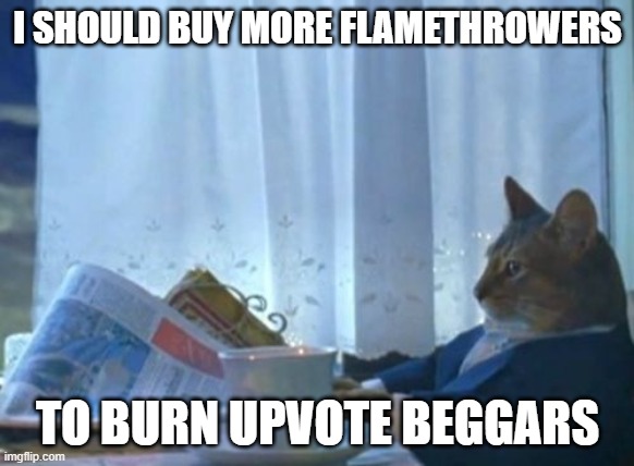 XD | I SHOULD BUY MORE FLAMETHROWERS; TO BURN UPVOTE BEGGARS | image tagged in memes,i should buy a boat cat | made w/ Imgflip meme maker