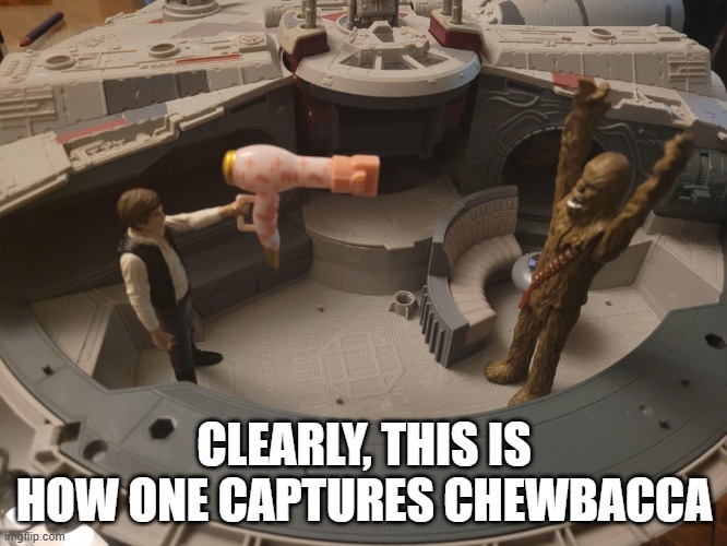 Capture Chewy | CLEARLY, THIS IS HOW ONE CAPTURES CHEWBACCA | image tagged in chewbacca | made w/ Imgflip meme maker