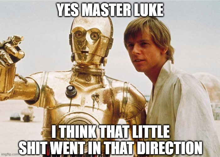 Looking for R2 | YES MASTER LUKE; I THINK THAT LITTLE SHIT WENT IN THAT DIRECTION | image tagged in r2d2,star wars | made w/ Imgflip meme maker