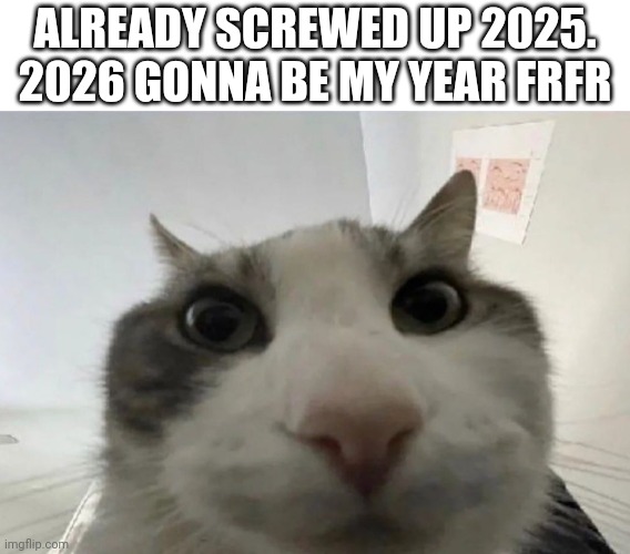 I'm so bored | ALREADY SCREWED UP 2025. 2026 GONNA BE MY YEAR FRFR | image tagged in cat looking inside | made w/ Imgflip meme maker