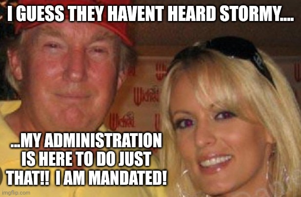 I GUESS THEY HAVENT HEARD STORMY.... ...MY ADMINISTRATION IS HERE TO DO JUST THAT!!  I AM MANDATED! | image tagged in side chick | made w/ Imgflip meme maker