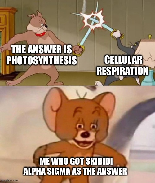 photosynthesis vs cellular respiration | THE ANSWER IS PHOTOSYNTHESIS; CELLULAR RESPIRATION; ME WHO GOT SKIBIDI ALPHA SIGMA AS THE ANSWER | image tagged in tom and jerry swordfight,bill nye the science guy,science rules,math sucks,skibidi toilet,alpha sigma | made w/ Imgflip meme maker