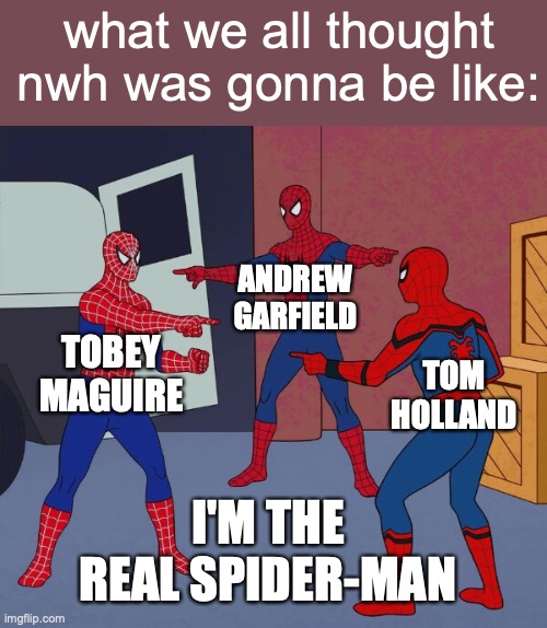 [Insert clever title here: I'M BACK] | what we all thought nwh was gonna be like:; ANDREW GARFIELD; TOBEY MAGUIRE; TOM HOLLAND; I'M THE REAL SPIDER-MAN | image tagged in spider man triple,nwh,spider-man,tom holland,andrew garfield,tobey maguire | made w/ Imgflip meme maker