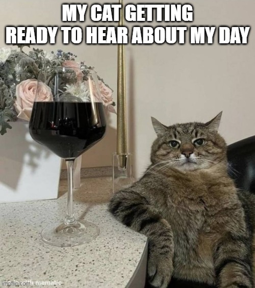 day | MY CAT GETTING READY TO HEAR ABOUT MY DAY | image tagged in cat with wine | made w/ Imgflip meme maker