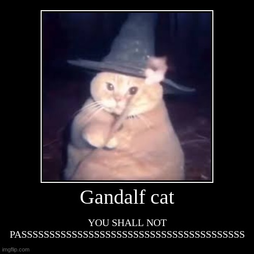 AA | Gandalf cat | YOU SHALL NOT PASSSSSSSSSSSSSSSSSSSSSSSSSSSSSSSSSSSSSSSS | image tagged in funny,demotivationals | made w/ Imgflip demotivational maker