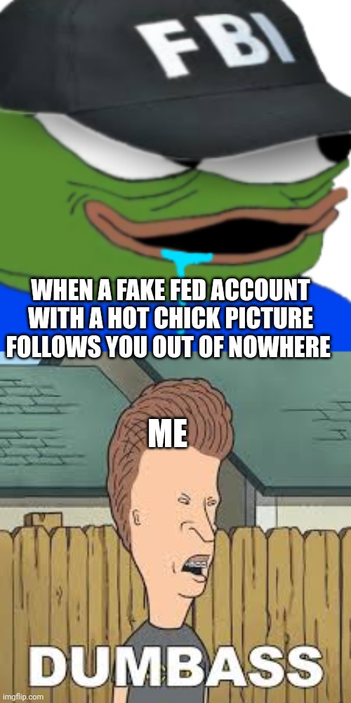 fed memes | WHEN A FAKE FED ACCOUNT WITH A HOT CHICK PICTURE FOLLOWS YOU OUT OF NOWHERE; ME | image tagged in dumbass | made w/ Imgflip meme maker