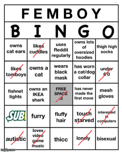 Femboy Bingo | image tagged in femboy bingo | made w/ Imgflip meme maker