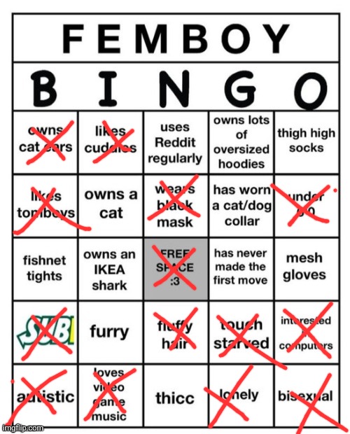 Femboy Bingo | image tagged in femboy bingo | made w/ Imgflip meme maker