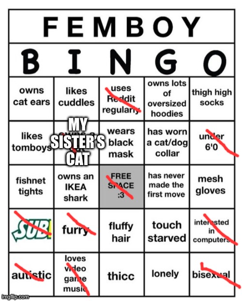 Femboy Bingo | MY SISTER’S CAT | image tagged in femboy bingo | made w/ Imgflip meme maker