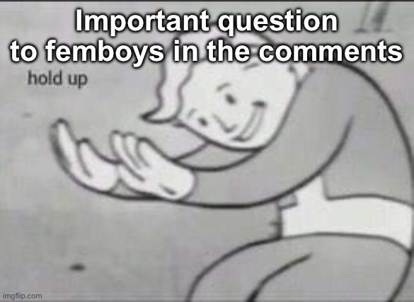 Explain me why | Important question to femboys in the comments | image tagged in fallout hold up | made w/ Imgflip meme maker