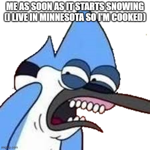 it is coming... | ME AS SOON AS IT STARTS SNOWING (I LIVE IN MINNESOTA SO I'M COOKED) | image tagged in disgusted mordecai,snow,winter,winter is coming | made w/ Imgflip meme maker