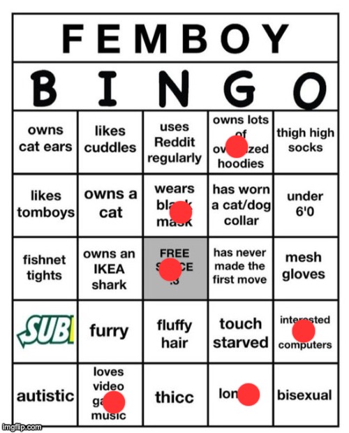 Femboy Bingo | image tagged in femboy bingo | made w/ Imgflip meme maker