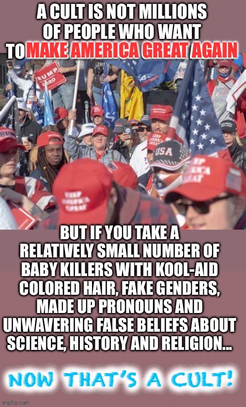 Now that’s a cult | image tagged in maga,liberal logic,cult | made w/ Imgflip meme maker