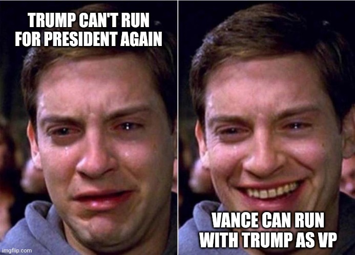 Peter Parker Sad Cry Happy cry | TRUMP CAN'T RUN FOR PRESIDENT AGAIN; VANCE CAN RUN WITH TRUMP AS VP | image tagged in peter parker sad cry happy cry | made w/ Imgflip meme maker