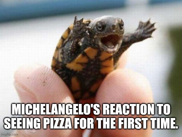 Totally tubuloso | MICHELANGELO'S REACTION TO SEEING PIZZA FOR THE FIRST TIME. | image tagged in happy baby turtle | made w/ Imgflip meme maker