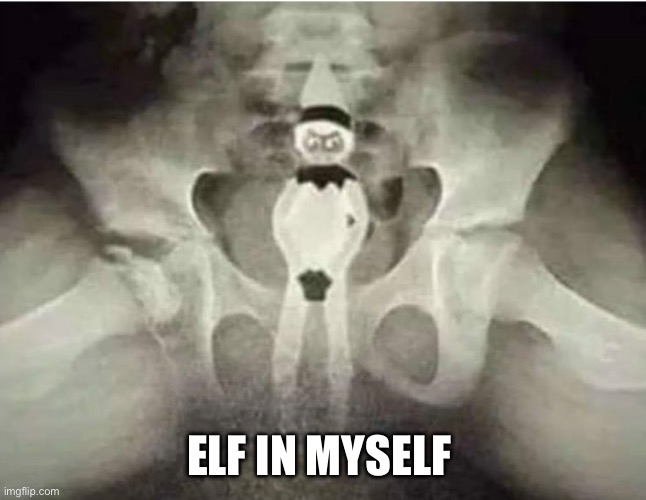 Elf on a shelf | ELF IN MYSELF | image tagged in elf on the shelf,christmas,elves,naughty list,santa,santa naughty list | made w/ Imgflip meme maker