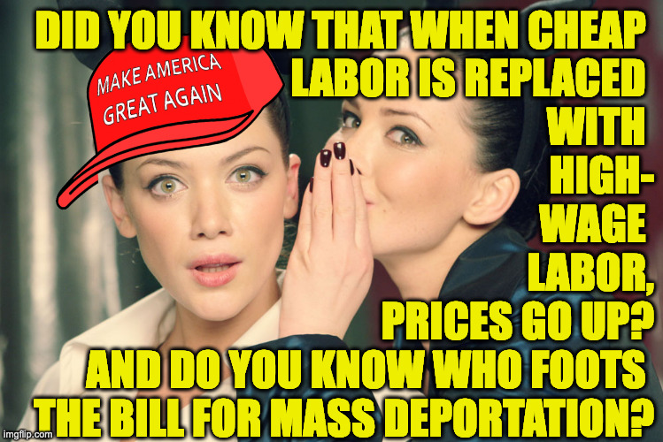 The answers may surprise you. | DID YOU KNOW THAT WHEN CHEAP 
LABOR IS REPLACED 
WITH 
HIGH-
WAGE 
LABOR,
PRICES GO UP?
AND DO YOU KNOW WHO FOOTS 
THE BILL FOR MASS DEPORTATION? | image tagged in did you know,memes,economics | made w/ Imgflip meme maker