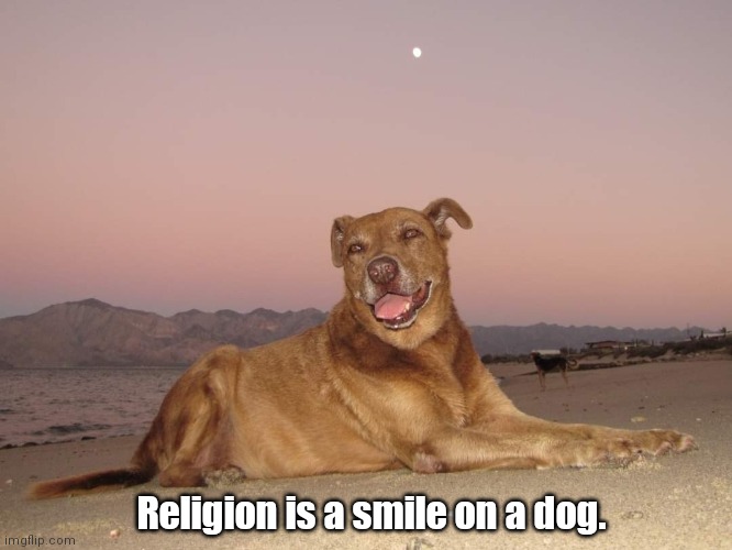 St Doggo | Religion is a smile on a dog. | image tagged in funny | made w/ Imgflip meme maker