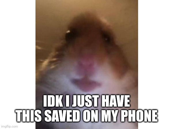 IDK | IDK I JUST HAVE THIS SAVED ON MY PHONE | image tagged in idk,fun | made w/ Imgflip meme maker