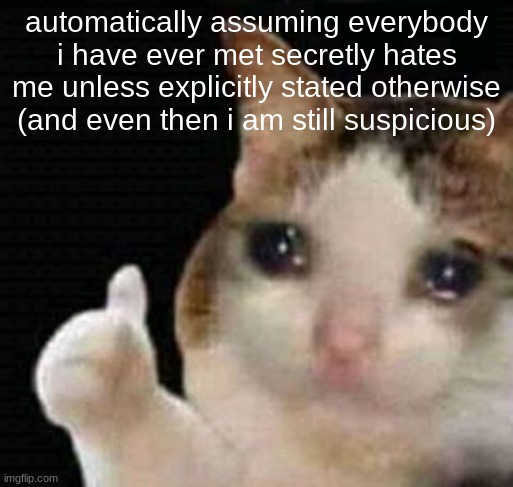 sad thumbs up cat | automatically assuming everybody i have ever met secretly hates me unless explicitly stated otherwise (and even then i am still suspicious) | image tagged in sad thumbs up cat | made w/ Imgflip meme maker