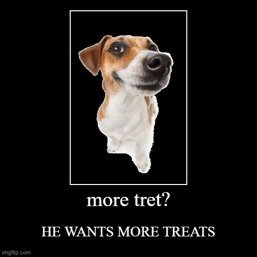 more tret? | HE WANTS MORE TREATS | image tagged in funny,demotivationals | made w/ Imgflip demotivational maker