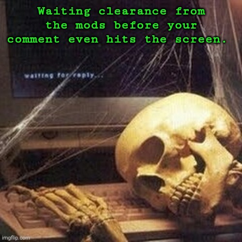 Waiting Computer Skeleton | Waiting clearance from the mods before your comment even hits the screen. | image tagged in waiting computer skeleton | made w/ Imgflip meme maker