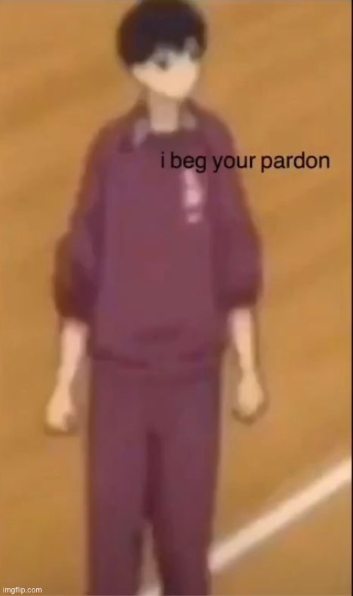 I beg ur pardon | image tagged in i beg ur pardon | made w/ Imgflip meme maker