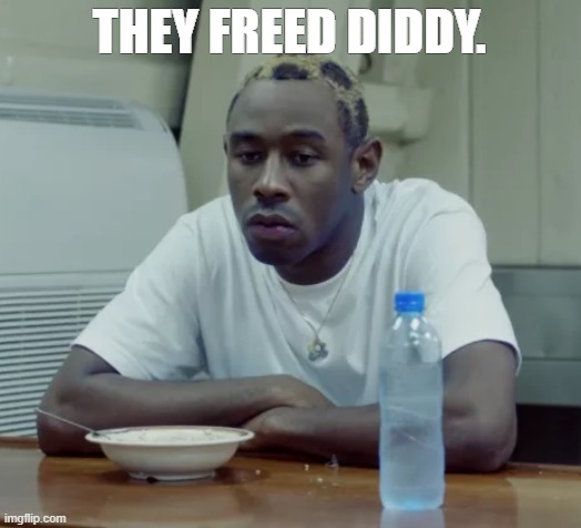 . | THEY FREED DIDDY. | image tagged in tyler sad | made w/ Imgflip meme maker