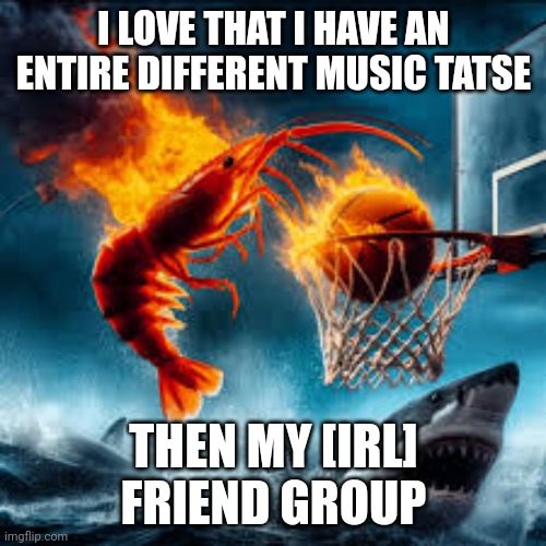 Ballin shrimp | I LOVE THAT I HAVE AN ENTIRE DIFFERENT MUSIC TATSE; THEN MY [IRL] FRIEND GROUP | image tagged in ballin shrimp | made w/ Imgflip meme maker