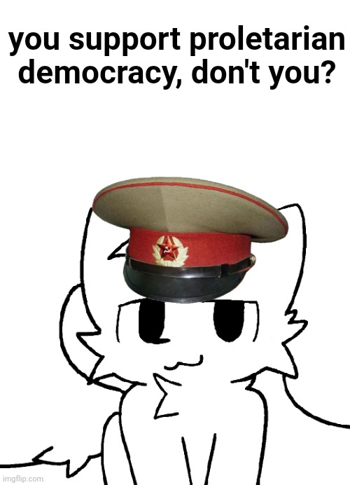 you support proletarian democracy, don't you? | image tagged in boykisser | made w/ Imgflip meme maker