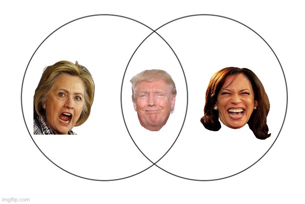 venn diagram | image tagged in venn diagram,politics lol | made w/ Imgflip meme maker