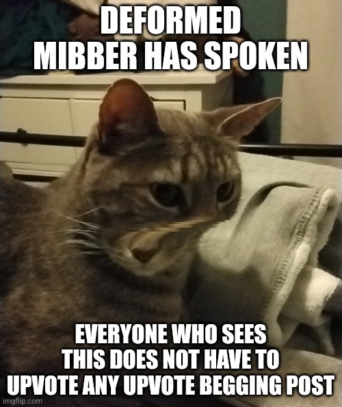 DEFORMED MIBBER HAS SPOKEN EVERYONE WHO SEES THIS DOES NOT HAVE TO UPVOTE ANY UPVOTE BEGGING POST | made w/ Imgflip meme maker