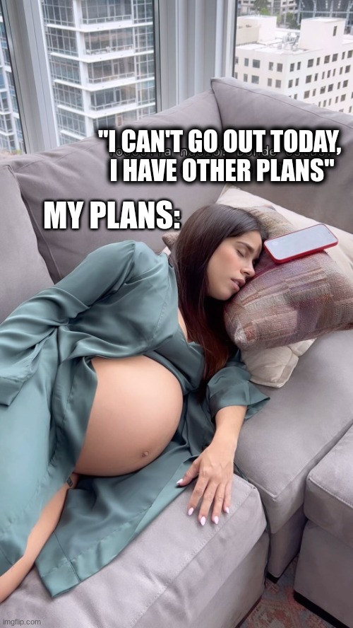 When I said I have other plans, this is what I meant | "I CAN'T GO OUT TODAY, 
I HAVE OTHER PLANS"; MY PLANS: | image tagged in pregnant,sleeping,plans | made w/ Imgflip meme maker