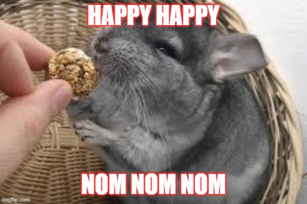 HAPPY HAPPY; NOM NOM NOM | image tagged in cute animals | made w/ Imgflip meme maker