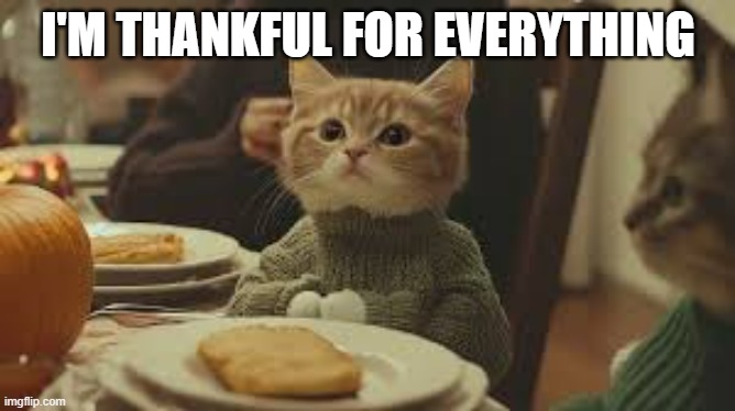 memes by Brad - cute kitten is thankful for everything | I'M THANKFUL FOR EVERYTHING | image tagged in funny,cats,kittens,thanksgiving,humor,thankful | made w/ Imgflip meme maker