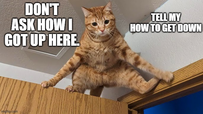 memes by Brad - cat is stuck on top of door | TELL MY HOW TO GET DOWN; DON'T ASK HOW I GOT UP HERE. | image tagged in cats,funny,kittens,humor,stuck | made w/ Imgflip meme maker