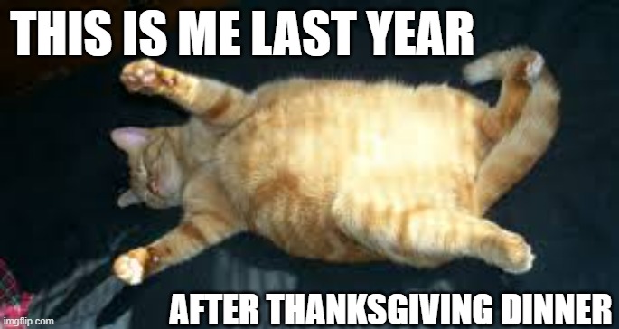 memes by Brad - A picture of my cat after Thanksgiving dinner ! | THIS IS ME LAST YEAR; AFTER THANKSGIVING DINNER | image tagged in funny,cats,thanksgiving dinner,kittens,thanksgiving,humor | made w/ Imgflip meme maker