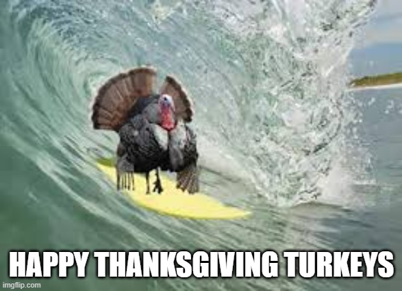 memes by Brad - Happy Thanksgiving to all you surfing turkeys | HAPPY THANKSGIVING TURKEYS | image tagged in funny,sports,surfing,turkeys,thanksgiving,humor | made w/ Imgflip meme maker