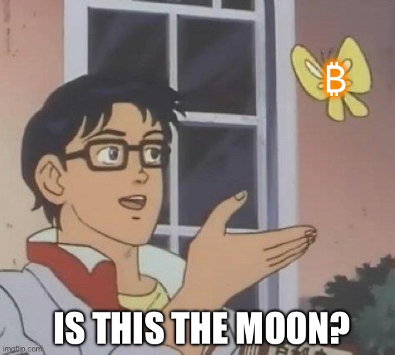 Is This A Pigeon Meme | ₿; IS THIS THE MOON? | image tagged in memes,is this a pigeon | made w/ Imgflip meme maker