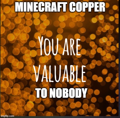 Minecraft meme | MINECRAFT COPPER; TO NOBODY | image tagged in you are valuable | made w/ Imgflip meme maker