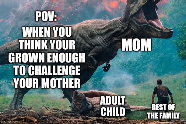 Challenge mom | POV:; WHEN YOU THINK YOUR GROWN ENOUGH TO CHALLENGE YOUR MOTHER; MOM; REST OF THE FAMILY; ADULT CHILD | image tagged in mom | made w/ Imgflip meme maker