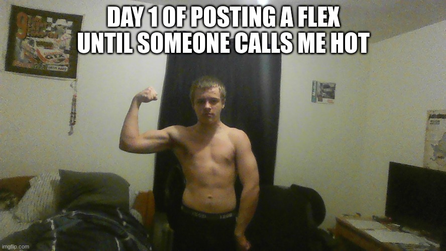 100 pushups a day, a 10 minute plank, and hitting my punching bag... think it'll turn out good? | DAY 1 OF POSTING A FLEX UNTIL SOMEONE CALLS ME HOT | image tagged in bored,boredom,flex,flexing,workout,grinding | made w/ Imgflip meme maker