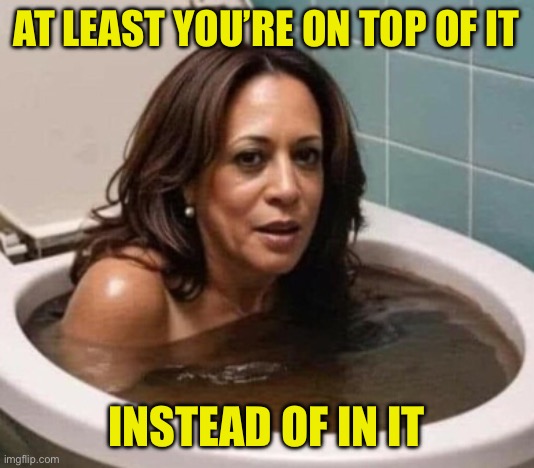 Kamala Harris Poop in Toilet | AT LEAST YOU’RE ON TOP OF IT INSTEAD OF IN IT | image tagged in kamala harris poop in toilet | made w/ Imgflip meme maker